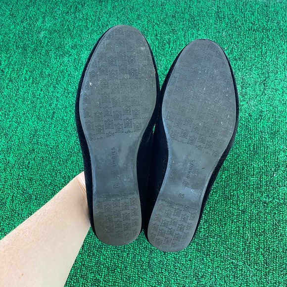 New, Birdies Starling in Black Velvet! - Picture 8 of 9